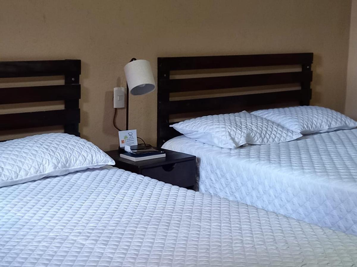 Euro Hostal جواتيمالا المظهر الخارجي الصورة